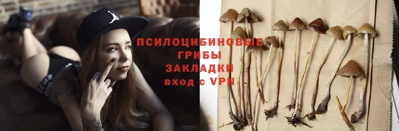 Псилоцибиновые грибы Magic Shrooms Бабушкин